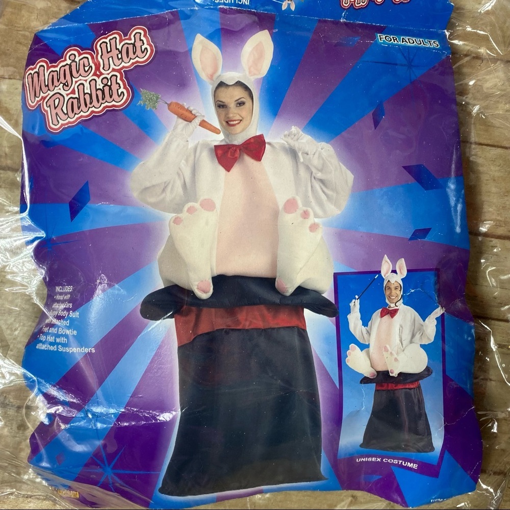 Magic hat costume